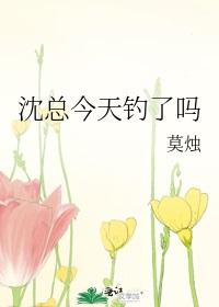 沈总今天钓了吗讲的什么