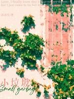 小垃圾全文免费阅读