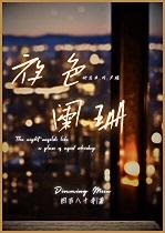 夜色亦阑珊百度