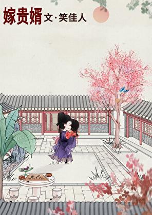 嫁贵婿txt盘