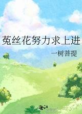 菟丝花是什么梗