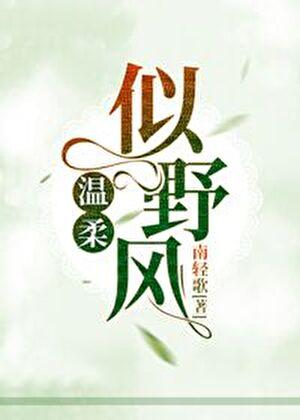 温柔似野风最佳配字