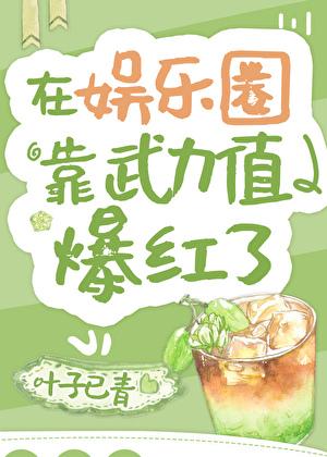 在娱乐圈靠武力值爆红了txt百度