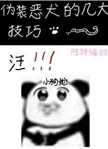 伪装狗