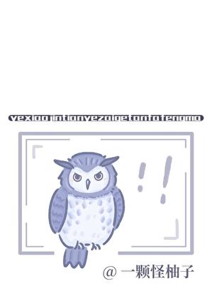 猫头鹰 哥谭