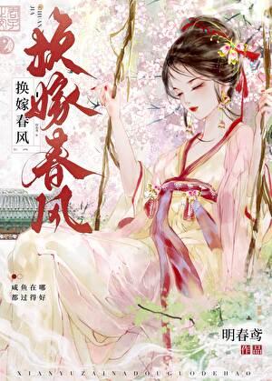 换嫁春风 讲的什么
