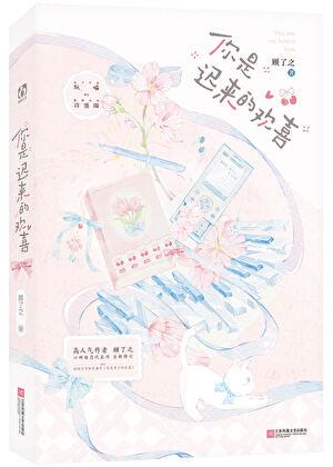 你是迟来的欢喜免费阅读晋江