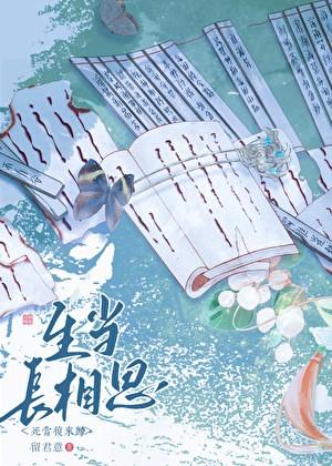 重生后再嫁偏执前妻讲的是什么故事