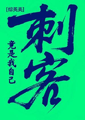 综英美刺客竟是我自己番外