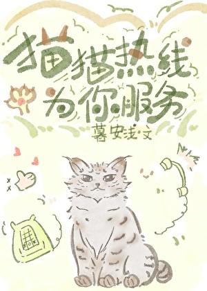 猫猫热线为您服务是哪个平台的