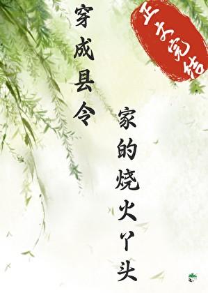 穿成县令家烧火丫头百度