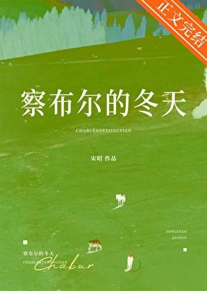 察布尔的冬天无删减