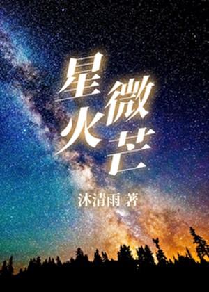 星火微芒txt百度
