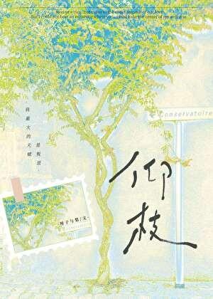仰枝厘子与梨百度