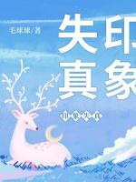 印象失真讲了什么
