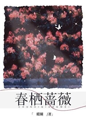 春栖蔷薇百度txt