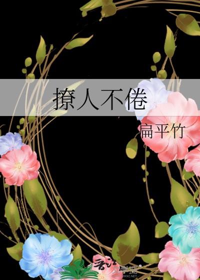 撩人不倦文