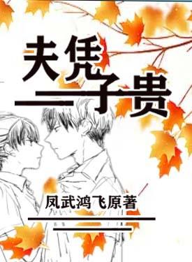 夫凭子贵全集