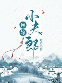 换嫁小夫郎前世故事全文