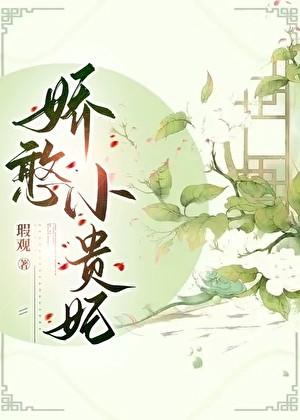 娇憨小贵妃番外65章