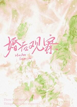 婚后观察综艺番外txt