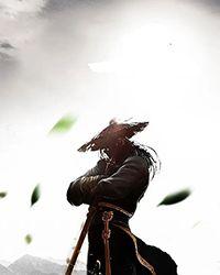 农女青荷穿书全文免费阅读