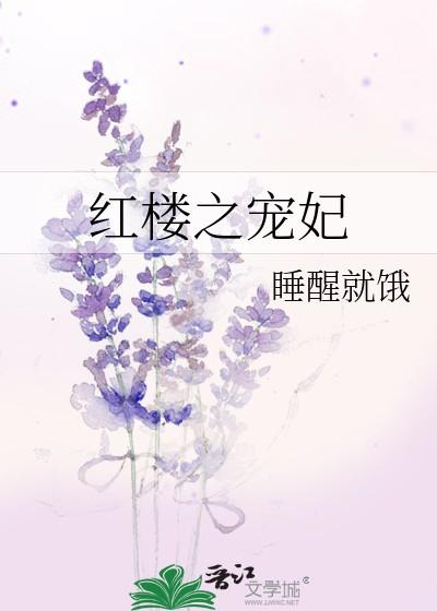 红楼之宠妃 睡醒就饿