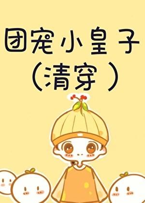 团宠小皇子(清穿)百度