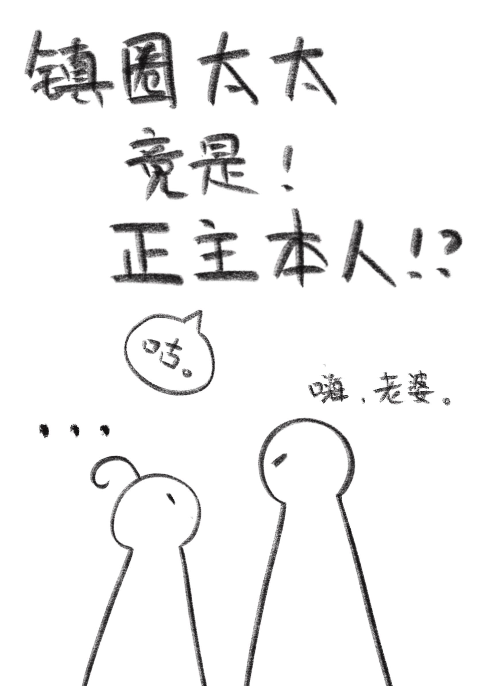 镇圈太太竟是正主本人番外