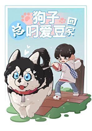 狗子喜欢叼东西怎么办