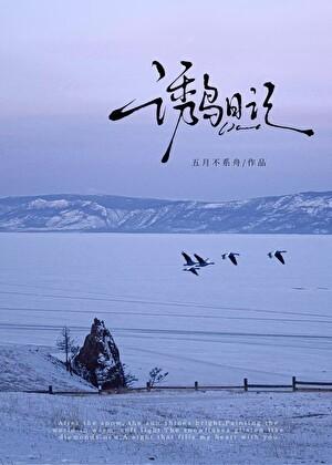 诱鸟 txt