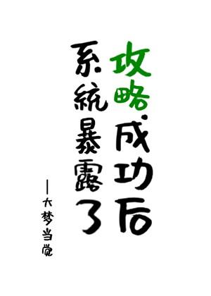 攻略成功后我被系统召回了