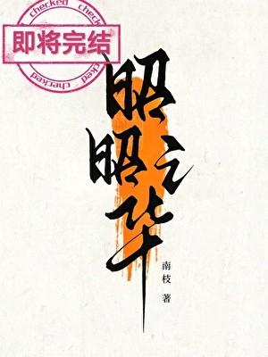 昭昭之华TXT百度资源南枝