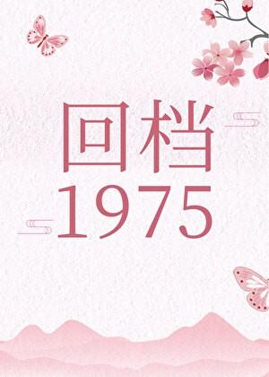 回档1995简介