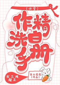 作精洗白手册在线阅读