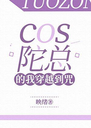 cp陀总的文