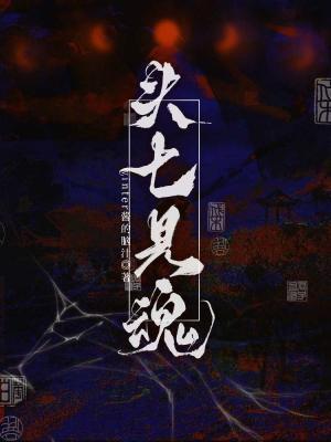 头七见魂晋江