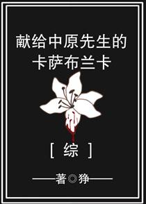 献给中原先生的卡萨布兰卡txt