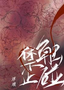 禁止触碰by翡鱼笔趣阁