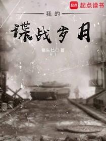 我的谍战岁月电视剧