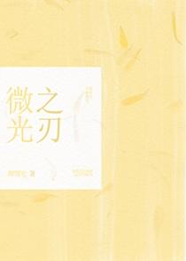 微光之翼