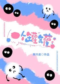 一个罐罐是什么意思