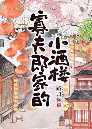 寡夫郎家的小酒楼txt链接