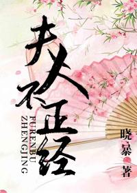 夫人不正经提取码