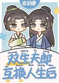 双生夫郎互换人生后番外