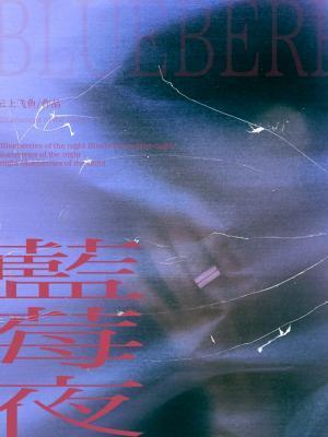 蓝莓夜by云上飞鱼笔趣阁