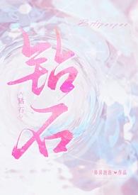 钻石宝贝1984法国