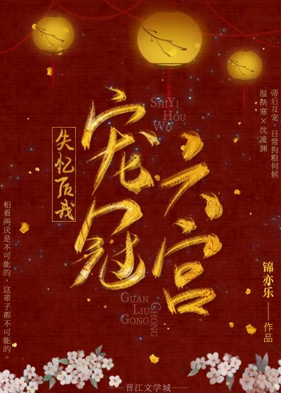 失忆后我宠冠六宫作者锦亦乐
