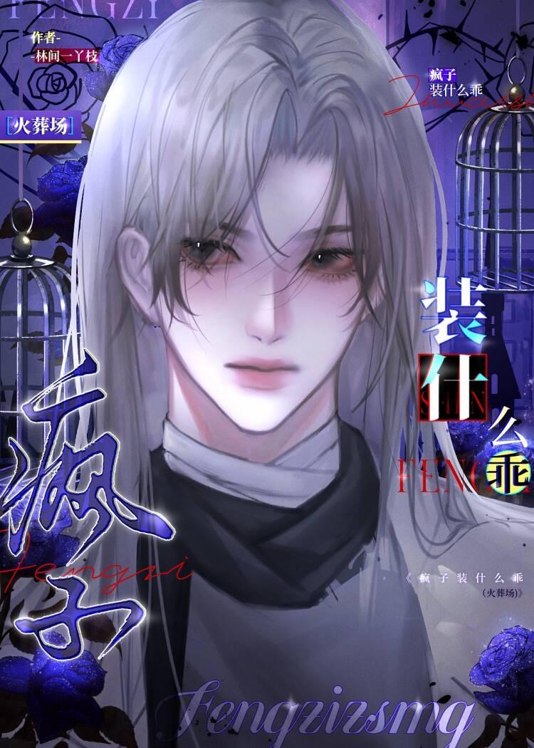 疯子装什么乖