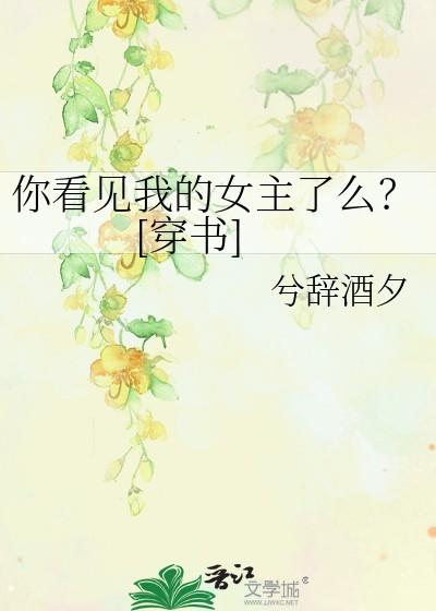 你看见我的女主了么？[穿书]